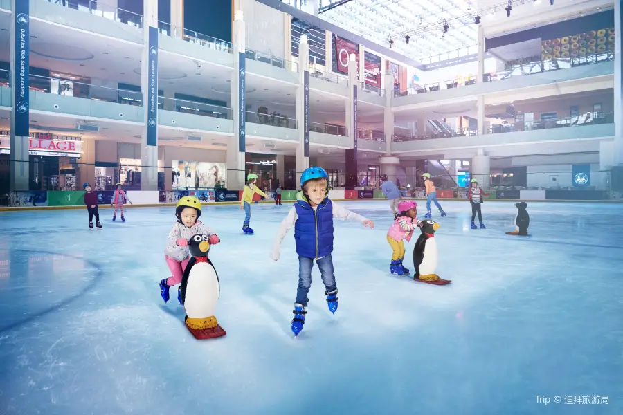 Dubai Ice Rink Photos, Map & Reviews [2024]