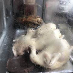 文昌鸡饭店(三角街店) User Photo