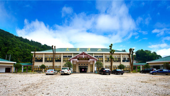 Ningxiang