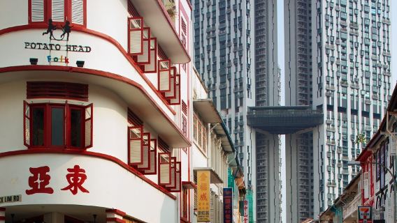 牛車水+魚尾獅公園+新加坡動物園+甘榜格南+濱海灣一日遊