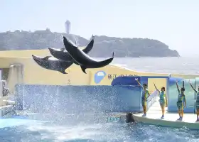 新江ノ島水族館