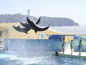 Enoshima Aquarium
