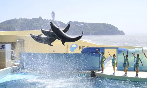 Enoshima Aquarium
