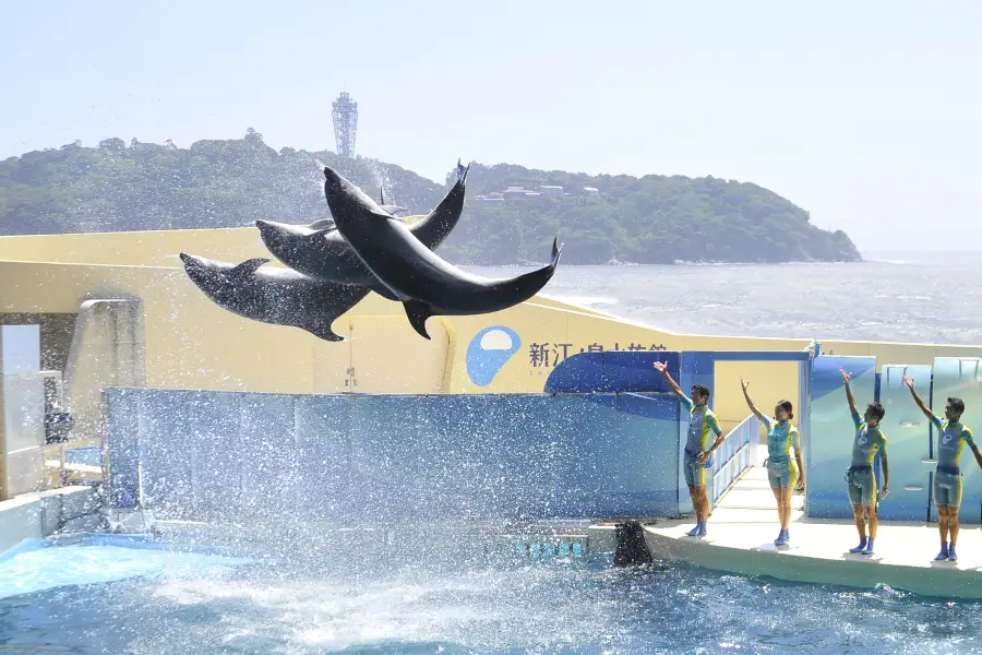 新江ノ島水族館