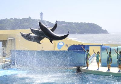 新江ノ島水族館