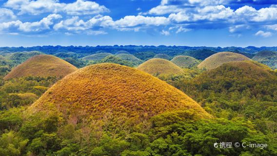 Visite terrestre classique de Bohol aux Philippines : Collines de chocolat, Tarsier, Croisière sur la rivière Loboc et Jardin aux papillons