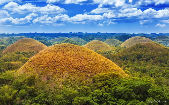 3_Chocolate Hills
