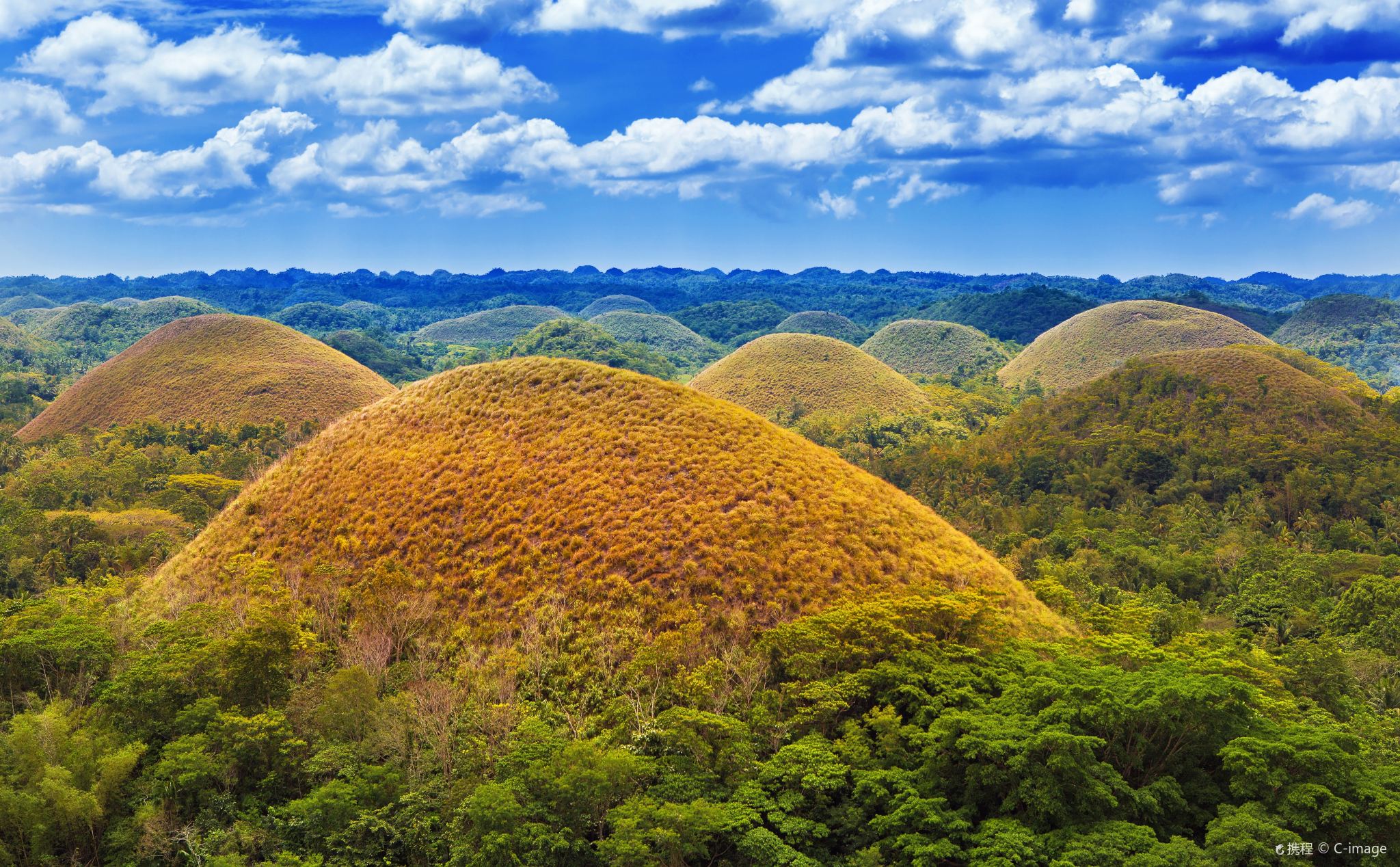 Classic Bohol Island land tour in the Philippines: Chocolate Hills, tarsier, Loboc River cruise & butterfly garden