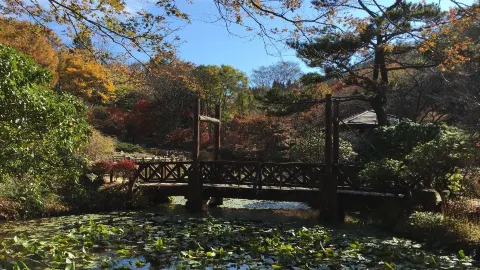 Mount Rokkō attraction in Kobe