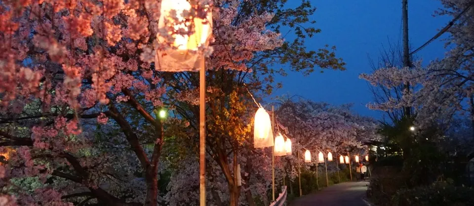 Attrazioni del Giro Notturno