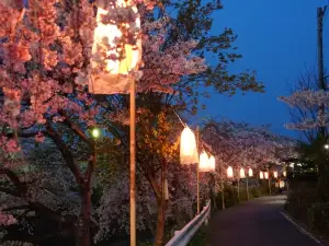 Popular Night Attractions in Nara Prefecture