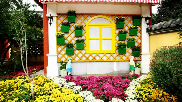 Chrysanthemum Viewing in Kaifeng