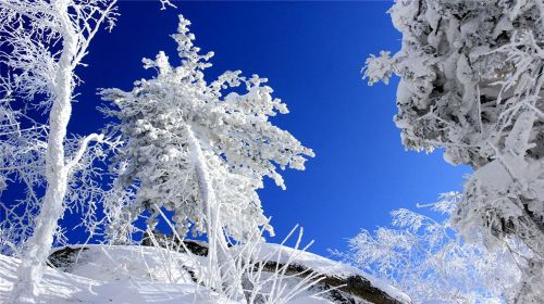 Yabulihufengling Boji Waizi Sceneic Area