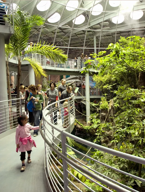 4_California Academy of Sciences