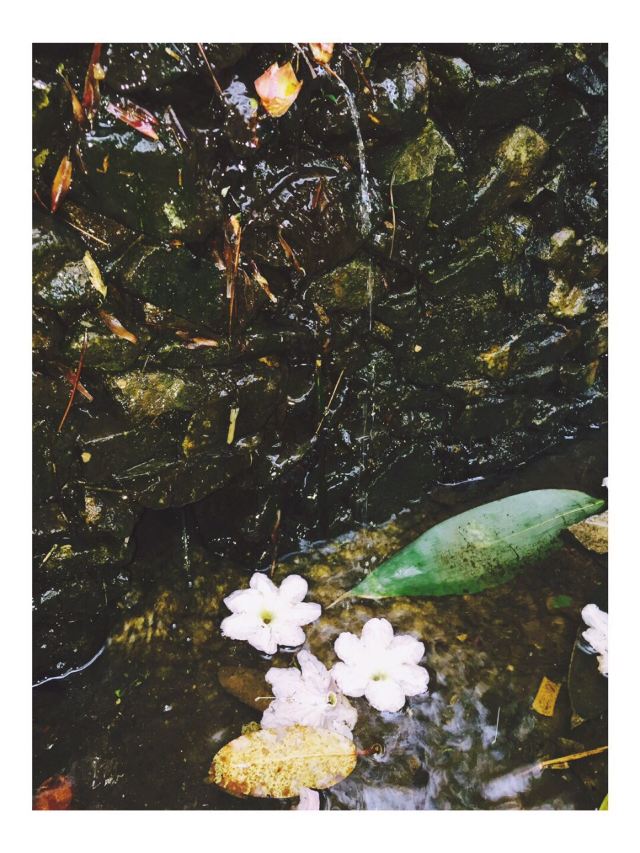 화딩 국가산림공원