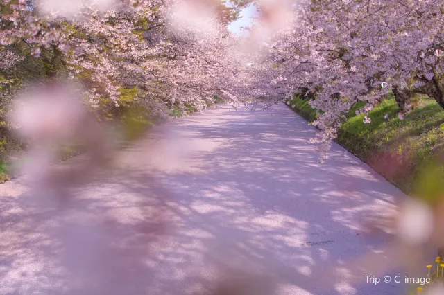 青森：東北隱祕之地，一年四季驚喜不斷