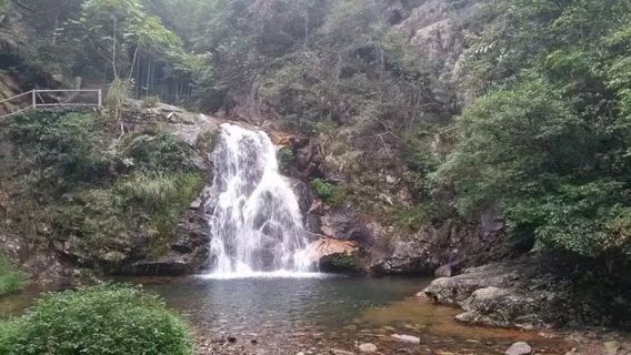 Song Bài