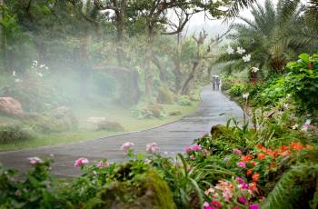 Amazing Natural Scenery