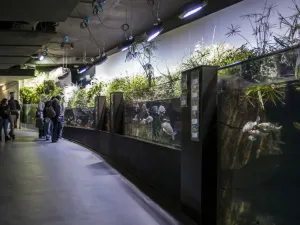 Aquarium de Paris
