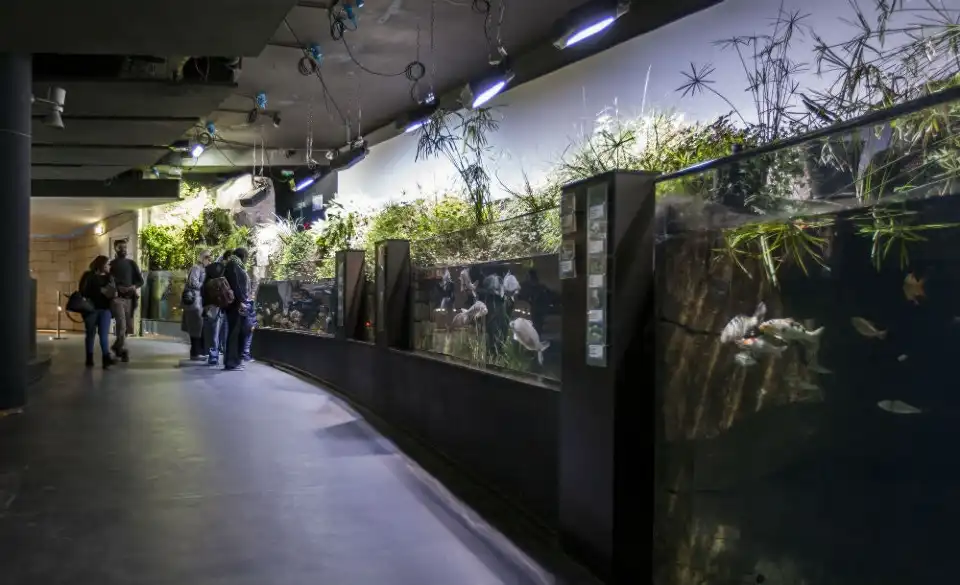 5_Aquarium de Paris