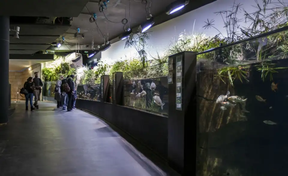 5_Aquarium de Paris