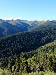 Sejila National Forest Park