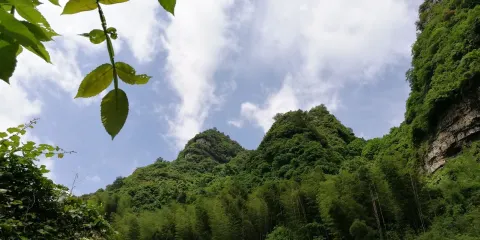 洛口山景區