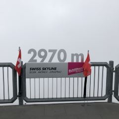 Piz Gloria User Photo