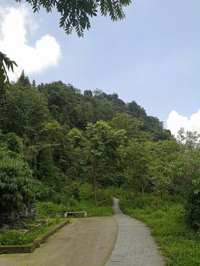 Hongxia Canyon