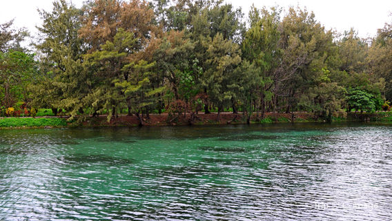 Taitung Forest Park
