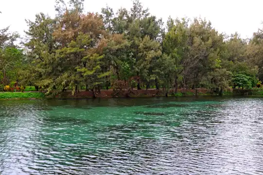 鄰近臺東森林公園的酒店