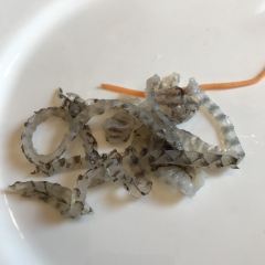 三清山希尔顿度假酒店·绿漪西餐厅 User Photo