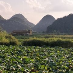 普者黑雅贝餐厅 User Photo