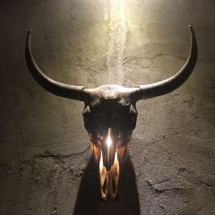 疯子的店(海滨路店) User Photo