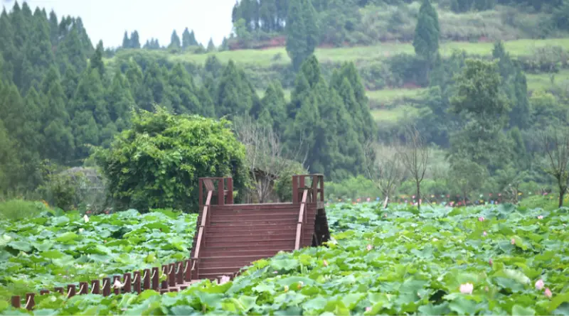 Tianhe Ecological Park