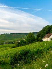 Grabkapelle auf dem Württemberg