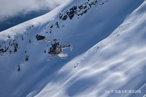 惠斯勒直升機滑雪