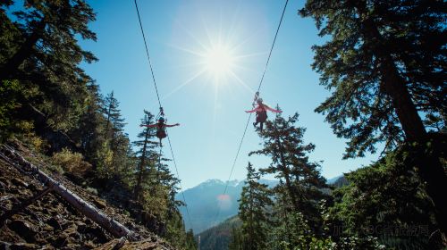 Superfly Ziplines