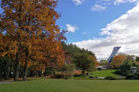 Jardin botanique de Montréal