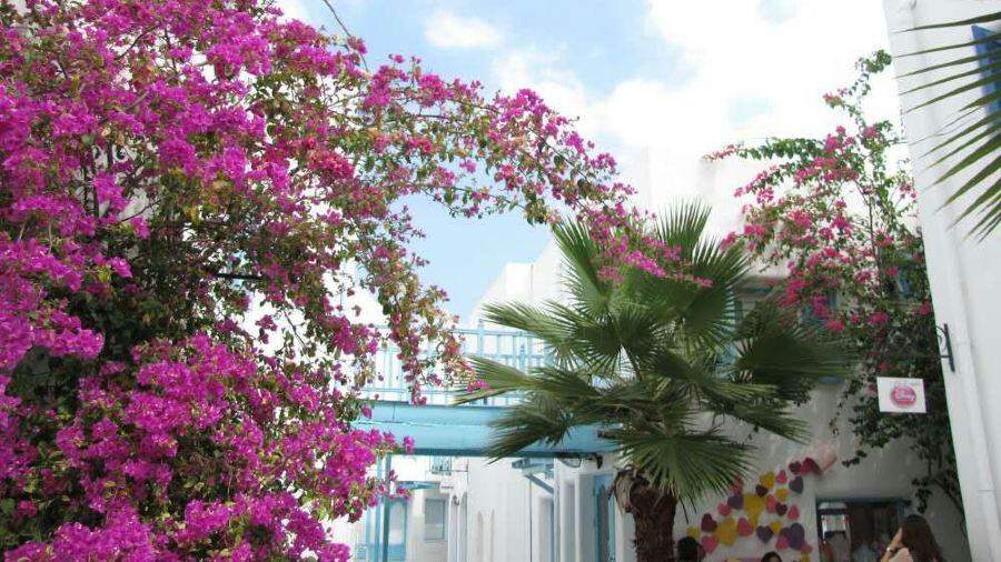 Fuji Restaurant - Market Village