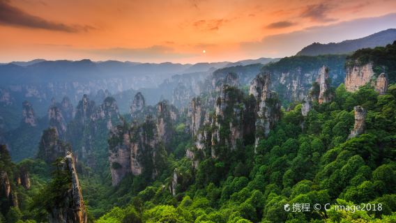Excursión de un día a Zhangjiajie: Gran Cañón de Zhangjiajie y Puente de Cristal (opción de tour privado o en grupo)