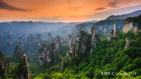 Excursión de un día a Zhangjiajie: Gran Cañón de Zhangjiajie y Puente de Cristal (opción de tour privado o en grupo)