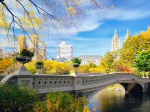 Popular Fall Viewing Attractions in New York State