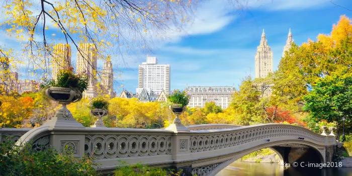 Central Park image 2