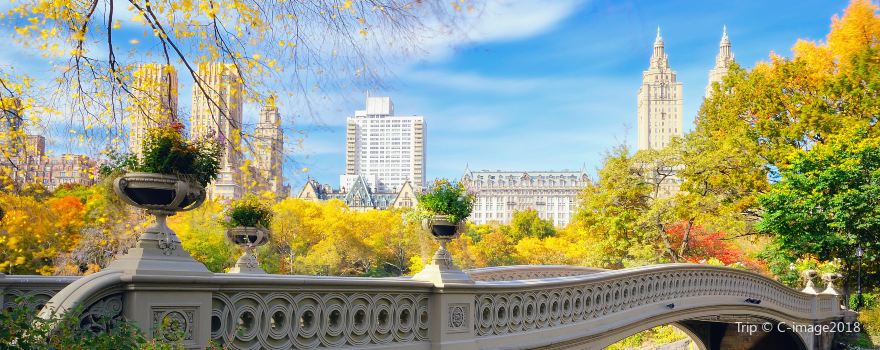 Central Park