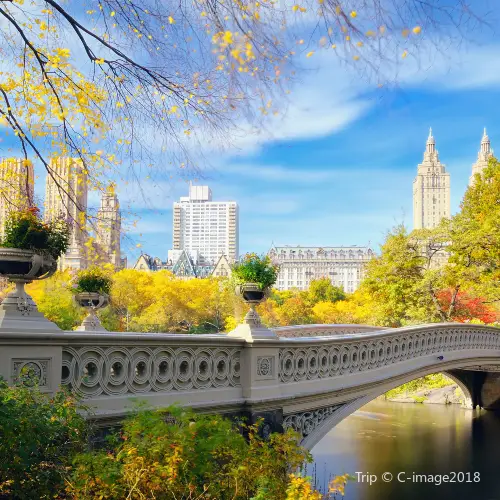 Central Park
