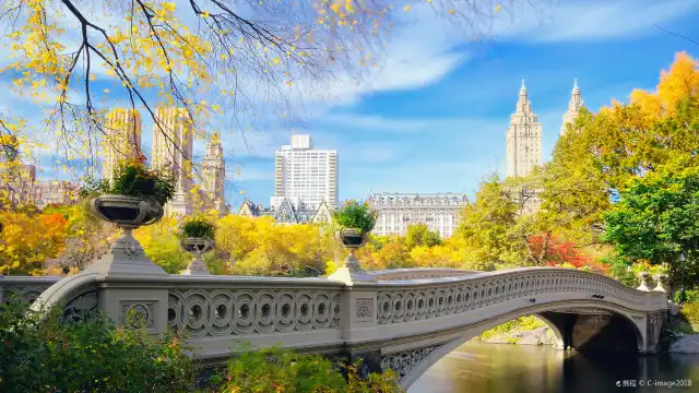 Hotels near Central Park