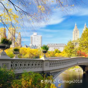 Central Park