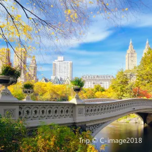 Central Park