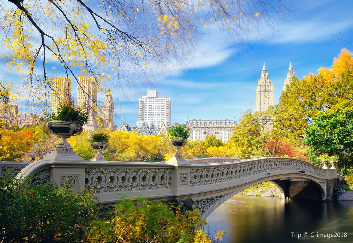 3_Central Park